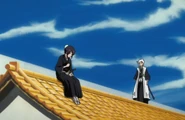 Hitsugaya Sees Momo