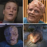 Tom evoluciona