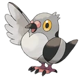 Pidove.png