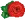 RoseIcon
