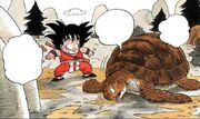 Gokuseesturtle