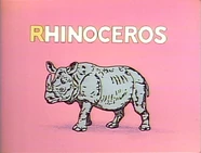 Rhino Limerick