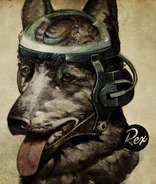 RexHead