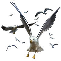 Huge item flockofseagulls 01.png