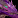 Twilight dragonflight