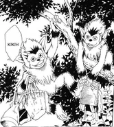 Primates de Okawa