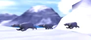 Bears