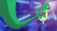 EP702 Snivy usando látigo cepa
