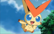P14 Victini-2