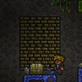 Broken Jungle Shrine.png