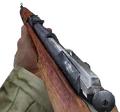 Mosin-Nagant CoD