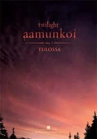 FinlandBDposter