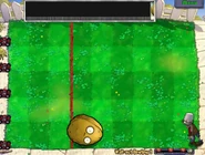 Wall-Nut Bowling 2