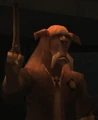Yellow Clantaani.jpg