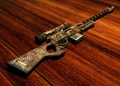 Gobi Campaign scout rifle.jpg