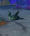 Seabrush Terrapin