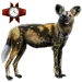 Painted Wolf