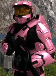 Donut Season 7