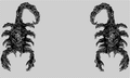 Thumbnail for version as of 04:38, August 1, 2011