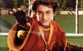 Goldensnitch slider hpwiki.jpg