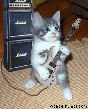 Pictures Funny Cats on 0cc4aee9 Ba27 49a1 9c7a 8d09fe58ab82 Funny Animated Pictures 23 Gif