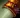 Death Knell II