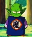 Piccolo pequeño.jpg