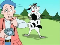 HammyVaca