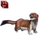 Item ermine 01 lvl4