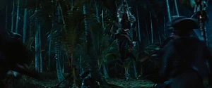SkirmishPalmTreeGrove