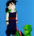 PiccoloHoldingGohan