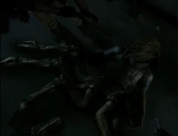 LLSkitter1