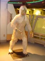 STTE-M-113 creature.jpg