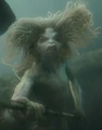 Murcus.png