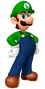 LuigiMarioPartyDS