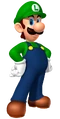 LuigiMarioPartyDS