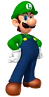 LuigiMarioPartyDS