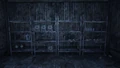 Ammoboxes charleston cave.png