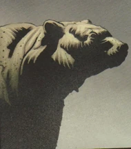 Bear