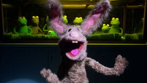 Character.jackrabbit