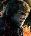 DH2 IAE Ron.jpg