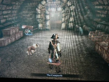 The Cesspools