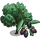 Picholine Olive Tree-icon
