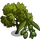 Lucques Olive Tree-icon