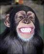 apes smiling