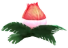 VolcanoLotus