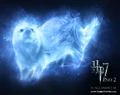 My patronus otter.jpg