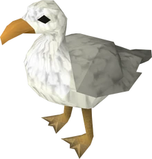 Seagull