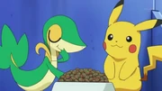 EP703 Snivy comiendo