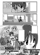 Report V